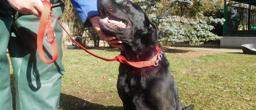 Bingo dla szczęśliwców