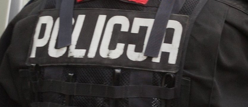 Pijany z wiatrówki strzelał do psa