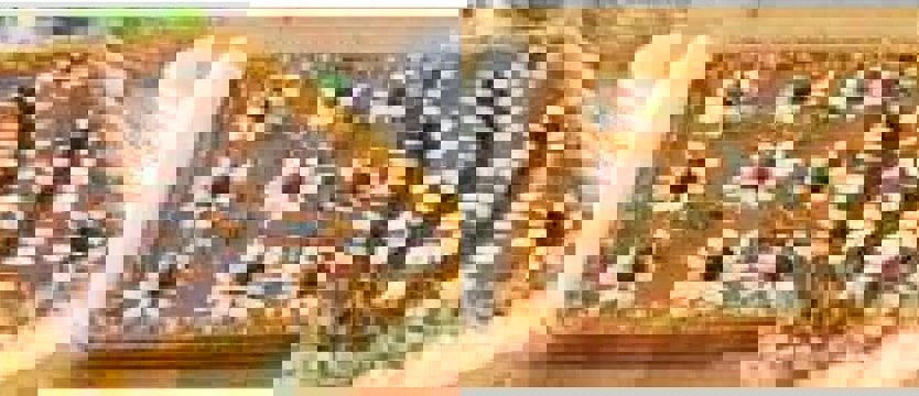 Życzenia od Redakcji