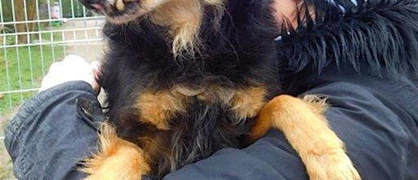 Kiełek i wszystko jasne