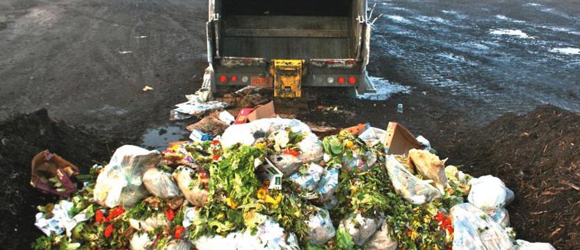 Co roku w kraju marnujemy 9 mln ton żywności