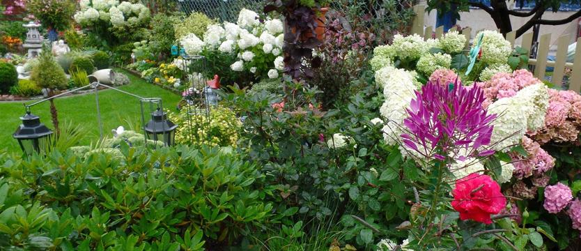 Cały Szczecin w kwiatach. Zaczynamy!