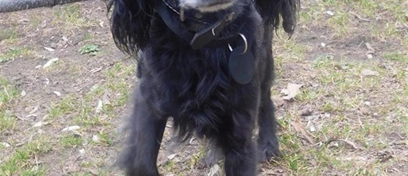 Maleńka i delikatna Sonia