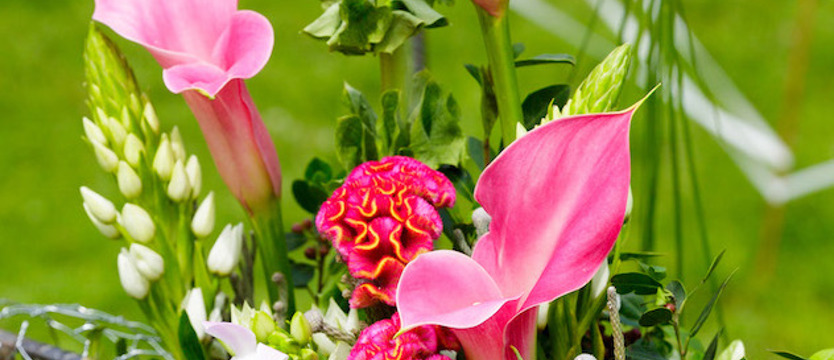 Złóż życzenia na Dzień Matki i wygraj prezent!