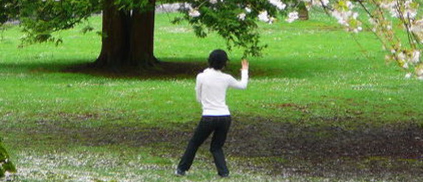 Tai-chi na Jasnych Błoniach