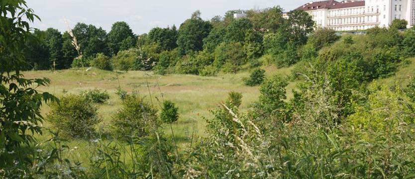 Tajemnica niecki przy ul. Unii Lubelskiej