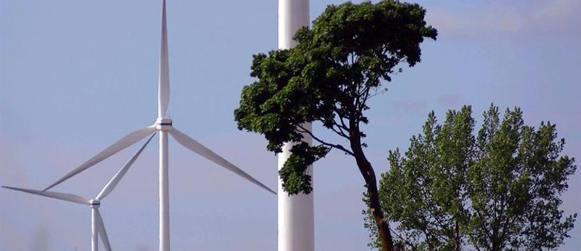 Sojusz dla energetyki wiatrowej. Podpisano list intencyjny