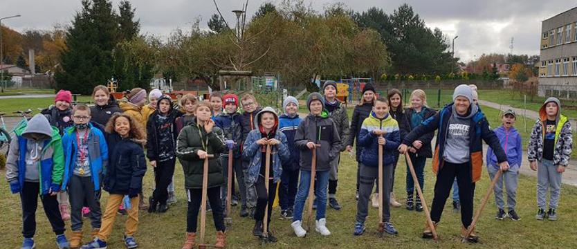 Sadzenie krokusów przy Szkole Podstawowej nr 28. Aby do wiosny!