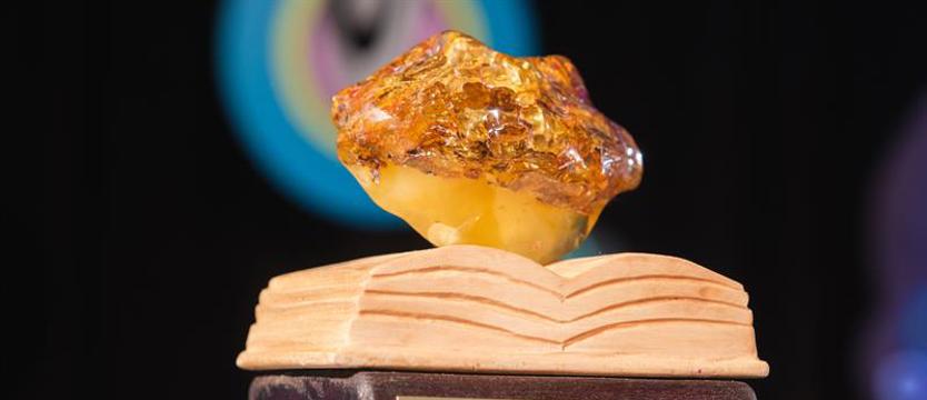 Dla kogo literacki bursztyn?