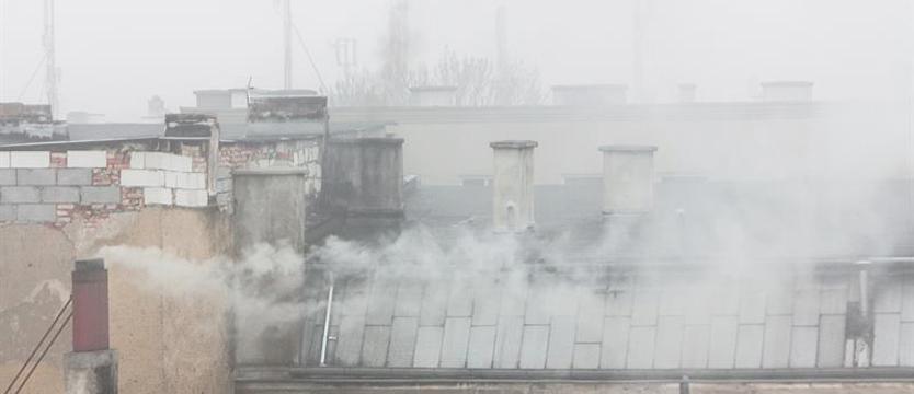 „Ciepłe mieszkanie” w Szczecinie. Są pieniądze na likwidację kopciuchów