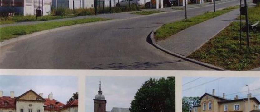 Profesor Białecki dokumentuje