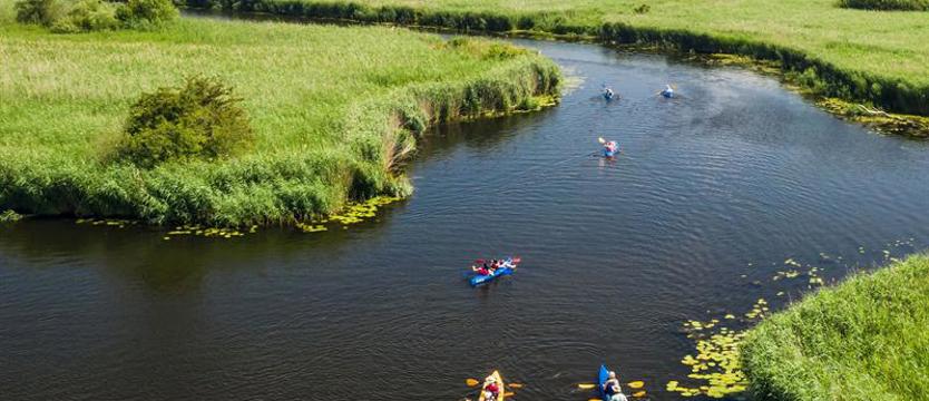 Propozycje na wakacyjne dni. Na rower, do kina, nad Odrę