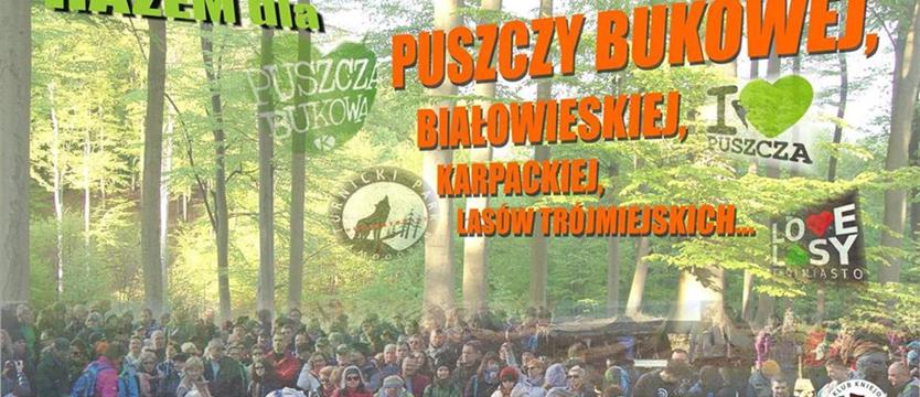 Manifestacja w obronie drzew