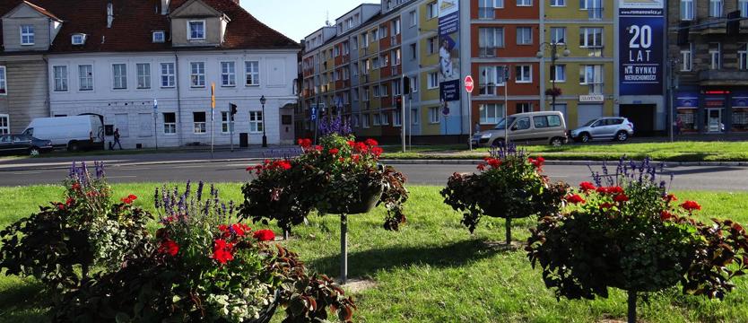 Gdzie nie spojrzysz – tam kwiaty!