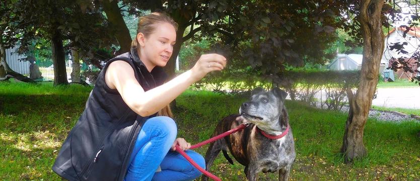 Maja dziś w schronisku