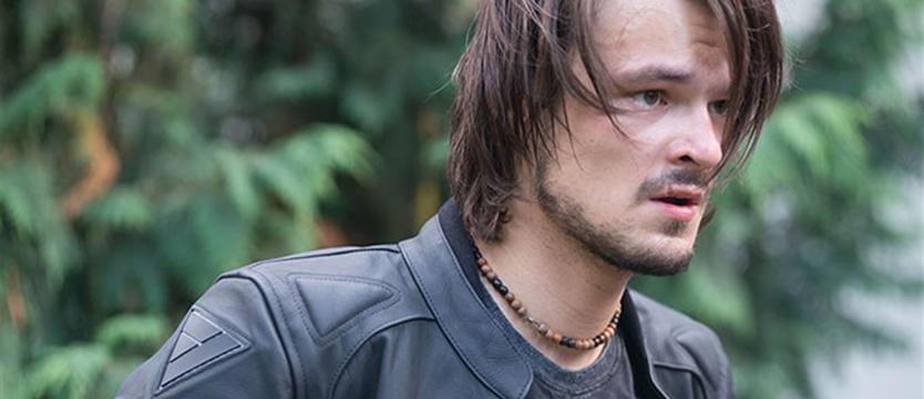 Plaża, filmy i koncert