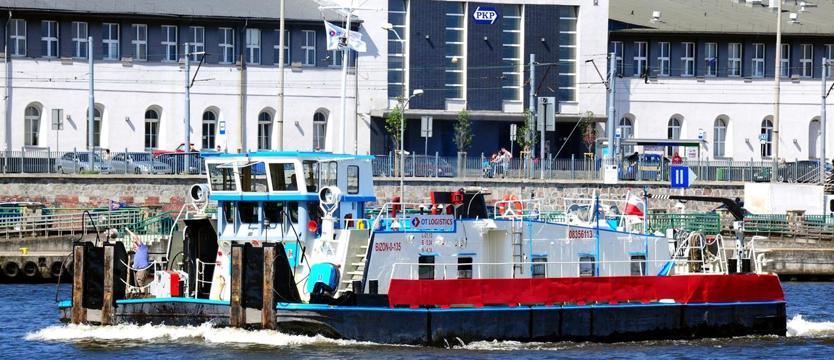 REGATY. Bizon między żaglowcami