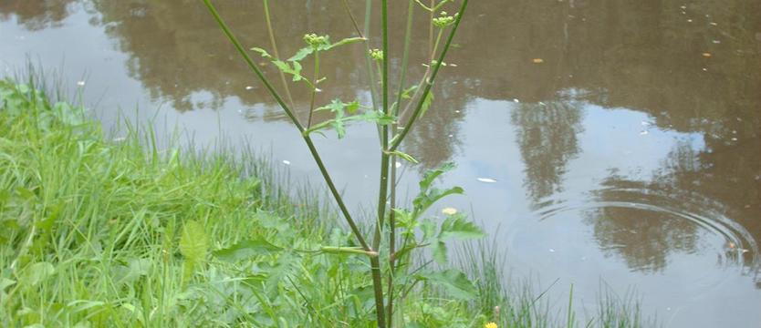 Rozmiar (jednak) ma znaczenie!
