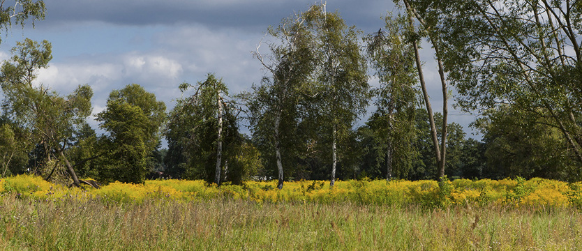 Hektary od ministra rolnictwa