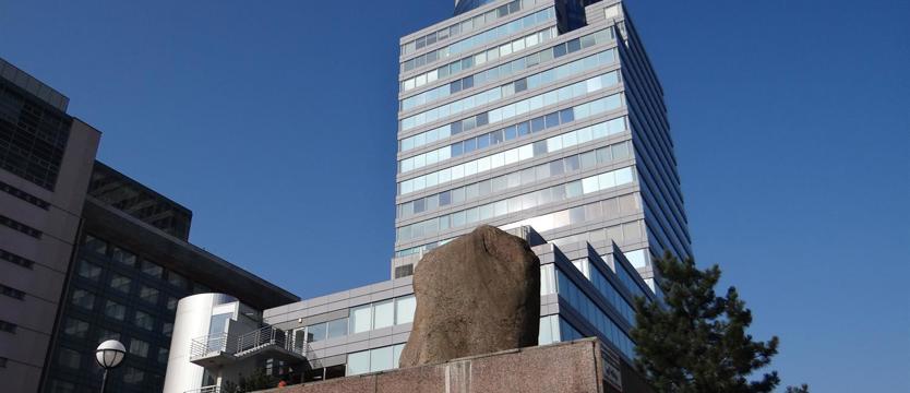 Tylko jeden wniosek na kasyno