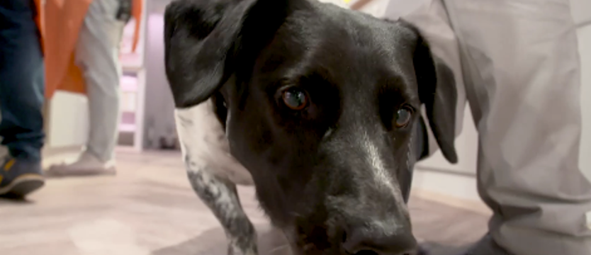 Jaromir i Michał – przyjaciele na dobre i na złe