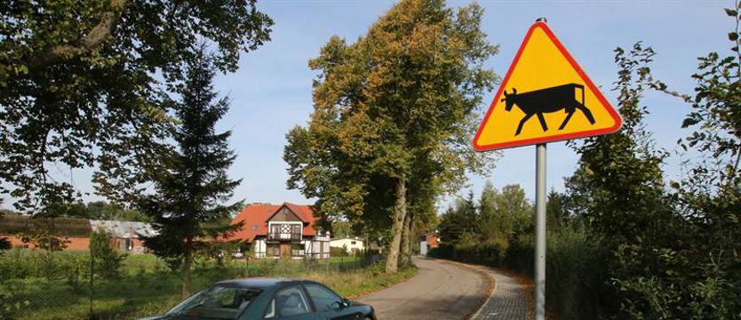 Nie chcą hodowli byków pod oknami