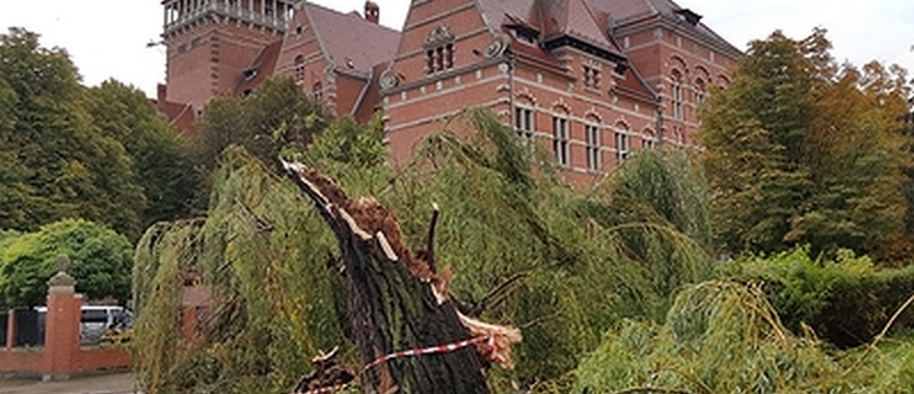 Pomoc finansowa po nawałnicach