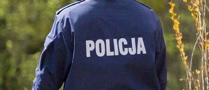 Poszukiwany... struś