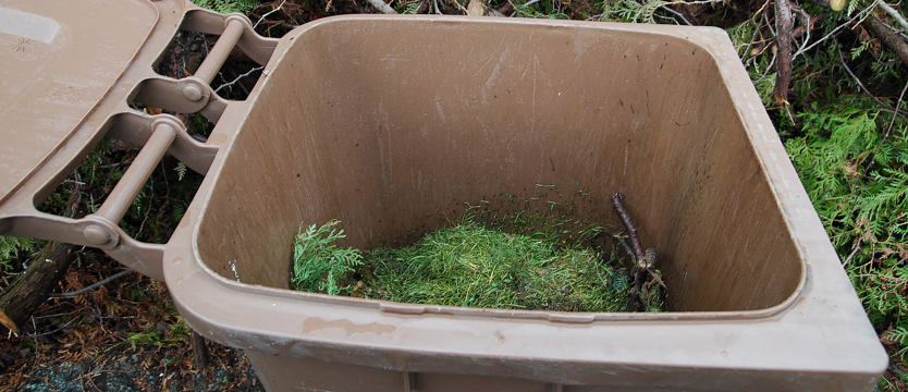 Brązowy pojemnik zamiast… ogniska