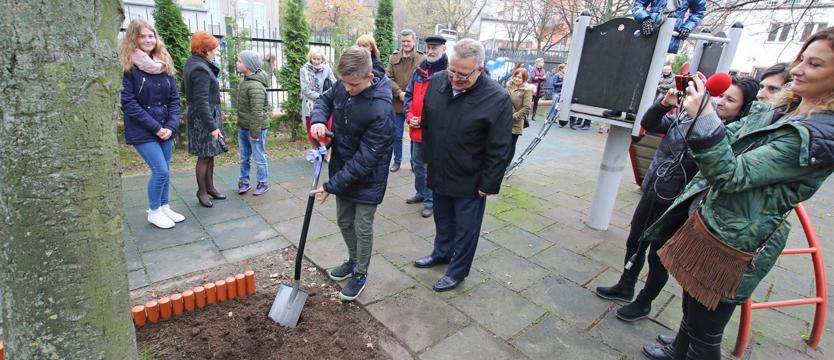 Łopata pod salę gimnastyczną