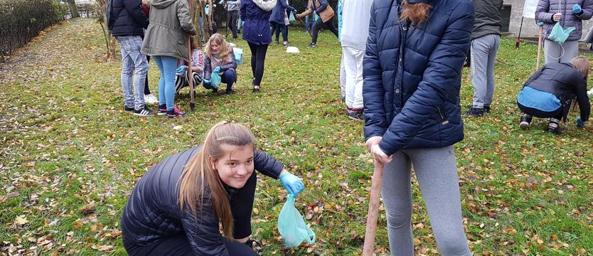 Krokusy – no to fajnie!