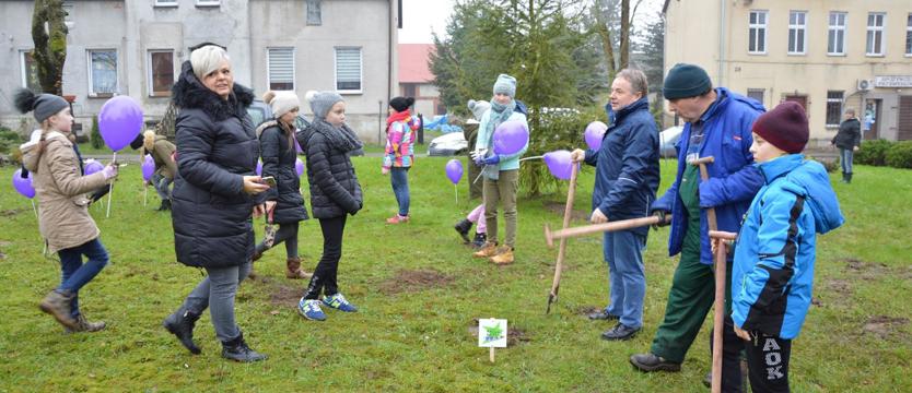 Moc szafranu – nie tylko w Szczecinie