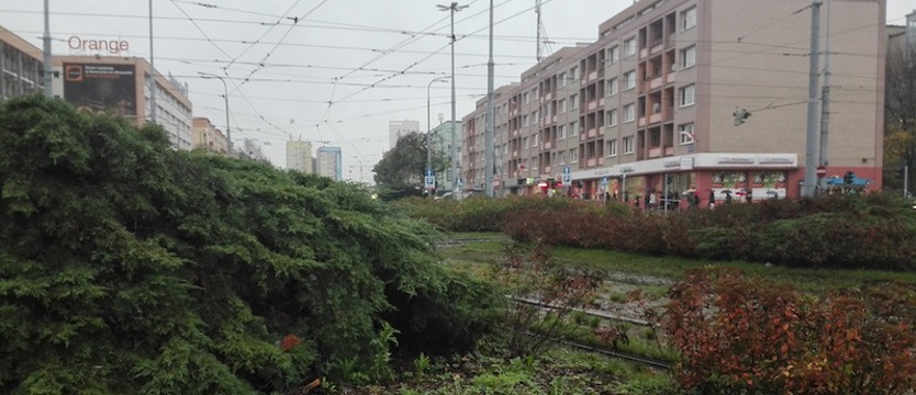 Czy nadjeżdża tramwaj?