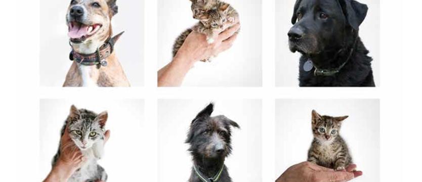 Wielka moc pomagania