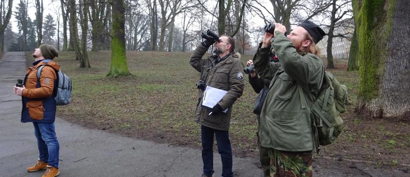 Spacerkiem policzyli ptaki