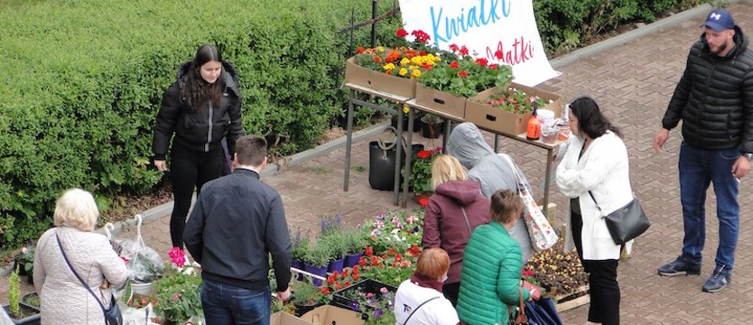 Dobroczynnie dla maleńkiej Ani