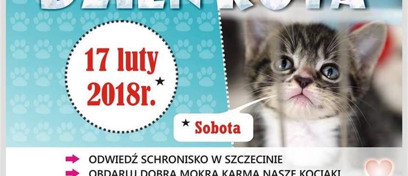 Umil kotom ich święto