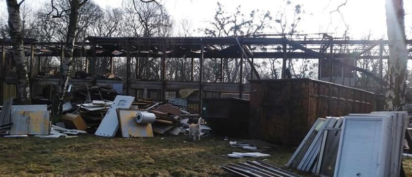 Rozbieranie pszczelnictwa