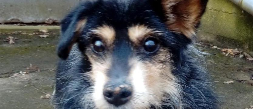 Zaginął dom - zgubił się człowiek