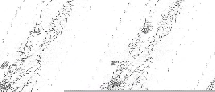 Piłka nożna. 111. rocznica urodzin Floriana Krygiera