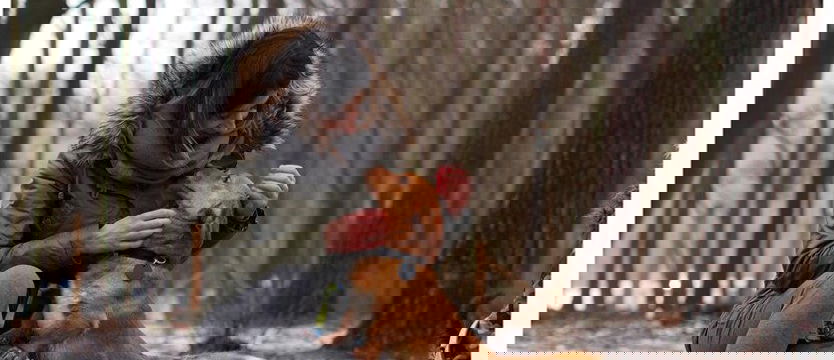 Podatek na cztery łapy