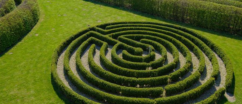 Majówka wśród kwiatów lub w labiryncie