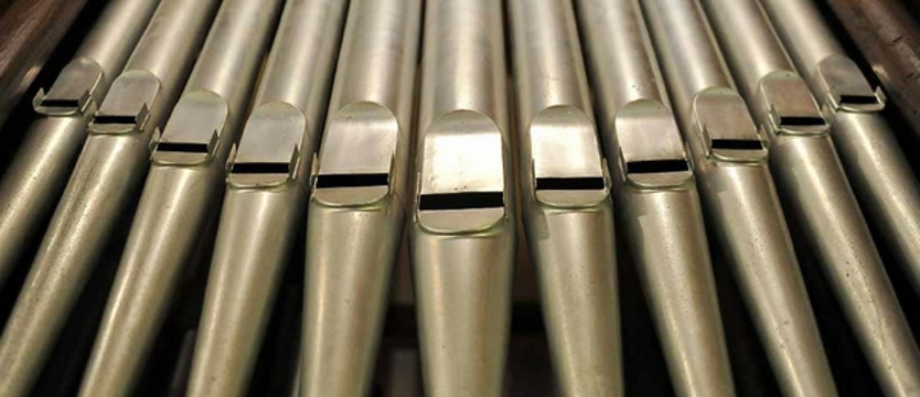 Śladami mistrza Grüneberga