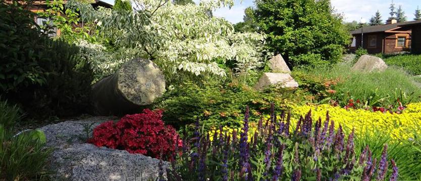Cały Szczecin w kwiatach. Zgłoszenia tylko do północy