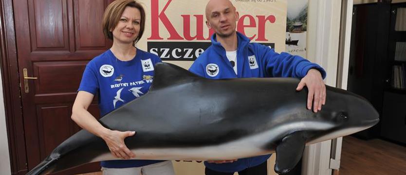 Morświn potrzebuje pomocy!