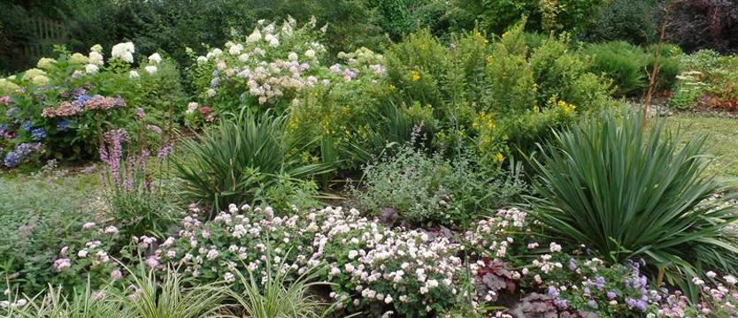 Cały Szczecin w kwiatach. Czas ocen tuż - tuż!