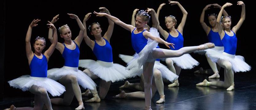 Dwadzieścia dyplomów