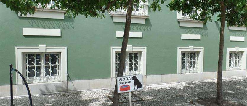 Woda dla czworonogów