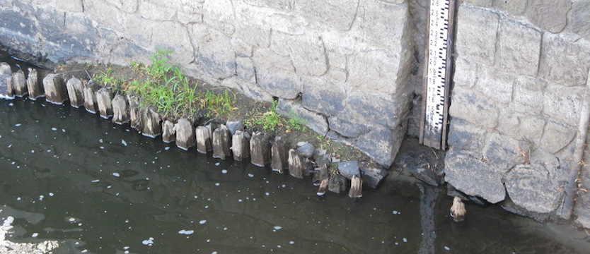 W Inie wody coraz mniej. Najniższy poziom od lat