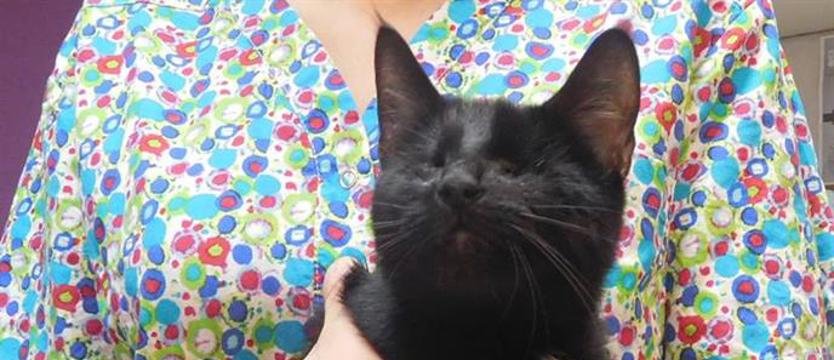 Marysia, czyli ślepy los